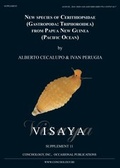 Cover: New species of Cerithiopsidae (Gastropoda: Triphoroidea) from Papua New Guinea (Pacific Ocean) - ConchBooks