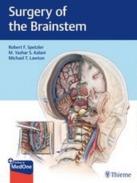 Enlarge image Cover: Surgery of the Brainstem - Thieme Publishers