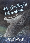 Cover: Mr Godley's Phantom - David Fickling Books