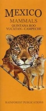 Cover: Mexico: Mammals - Quintana Roo, Yucatan, Campeche - Rainforest Publications