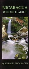 Cover: Nicaragua: Wildlife Guide - Rainforest Publications