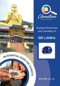 Cover: The Gemstone Detective - Filament Publishing