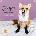 Cover: Juniper: The Happiest Fox 2020 Wall Calendar - Chronicle Books