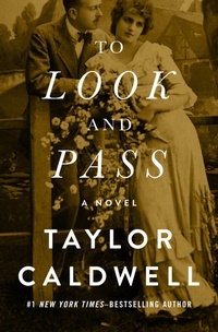 Enlarge image Cover: To Look and Pass - Open Road Media