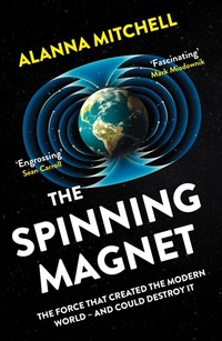 Enlarge image Cover: The Spinning Magnet - Oneworld Publications