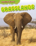 Cover: Grasslands - Brown Bear Books
