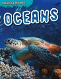Cover: Oceans - Brown Bear Books