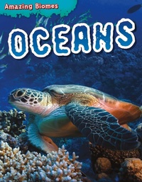 Enlarge image Cover: Oceans - Brown Bear Books