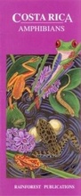 Cover: Costa Rica: Amphibians - Rainforest Publications
