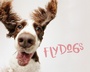 Cover: Flydogs - Voyageur Press
