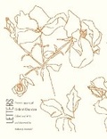 Cover: Letters - Flood Editions