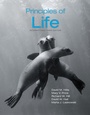 Cover: Principles of Life - W.H.Freeman & Co Ltd
