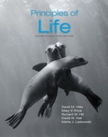 Cover: Principles of Life - W.H.Freeman & Co Ltd