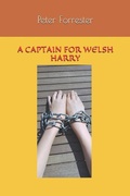 Cover: A Captain for Welsh Harry - Independently Published
