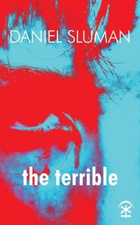 Enlarge image Cover: the terrible - Nine Arches Press