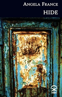 Enlarge image Cover: Hide - Nine Arches Press