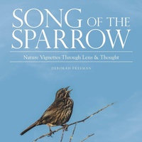 Enlarge image Cover: Song of the Sparrow - Balboa Press