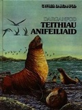 Cover: Cyfres Darganfod: Teithiau Anifeiliaid - Dref Wen
