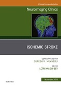 Cover: Ischemic Stroke, An Issue of Neuroimaging Clinics of North America - Elsevier
