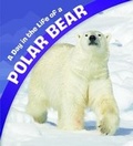 Cover: A Day in the Life of a Polar Bear - Raintree