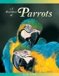Cover: A Rainbow of Parrots - London Town Press