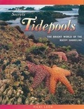 Cover: The Secrets of Tidepools - London Town Press