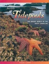 Enlarge image Cover: The Secrets of Tidepools - London Town Press