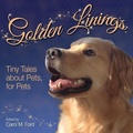 Cover: Golden Linings - AuthorMike Ink