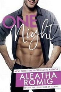 Enlarge image Cover: One Night - Romig Works, LLC