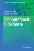 Cover: Computational Glioscience - Springer