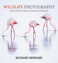 Abbildung von: Wildlife Photography - Ilex Press