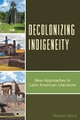 Cover: Decolonizing Indigeneity - Lexington Books