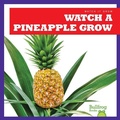 Cover: Watch a Pineapple Grow - Bullfrog Books
