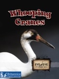 Cover: Whooping Cranes - Britannica Digital Learning