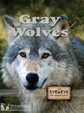 Cover: Gray Wolves - Britannica Digital Learning