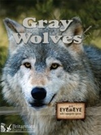 Enlarge image Cover: Gray Wolves - Britannica Digital Learning