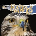 Cover: Hawks - Britannica Digital Learning