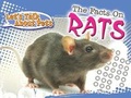 Cover: The Facts on Rats - Rourke Publishing