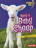 Cover: Meet a Baby Sheep - Lerner Publishing Group