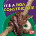 Cover: It's a Boa Constrictor! - Lerner Publishing Group