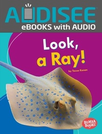 Enlarge image Cover: Look, a Ray! - Lerner Publishing Group