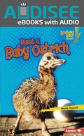 Cover: Meet a Baby Ostrich - Lerner Publishing Group