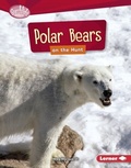 Cover: Polar Bears on the Hunt - Lerner Publishing Group