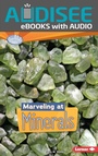 Cover: Marveling at Minerals - Lerner Publishing Group