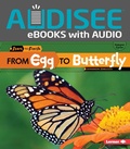 Cover: From Egg to Butterfly - Lerner Publishing Group