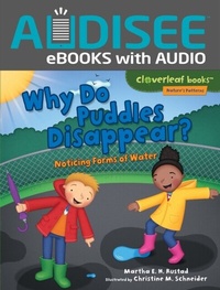 Enlarge image Cover: Why Do Puddles Disappear? - Lerner Publishing Group