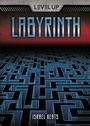 Cover: Labyrinth - Darby Creek