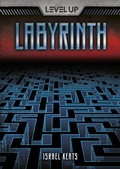 Cover: Labyrinth - Darby Creek