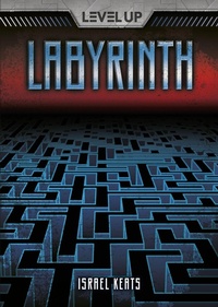 Enlarge image Cover: Labyrinth - Darby Creek
