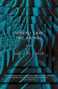 Cover: When I Saw the Animal - University of Queensland Press